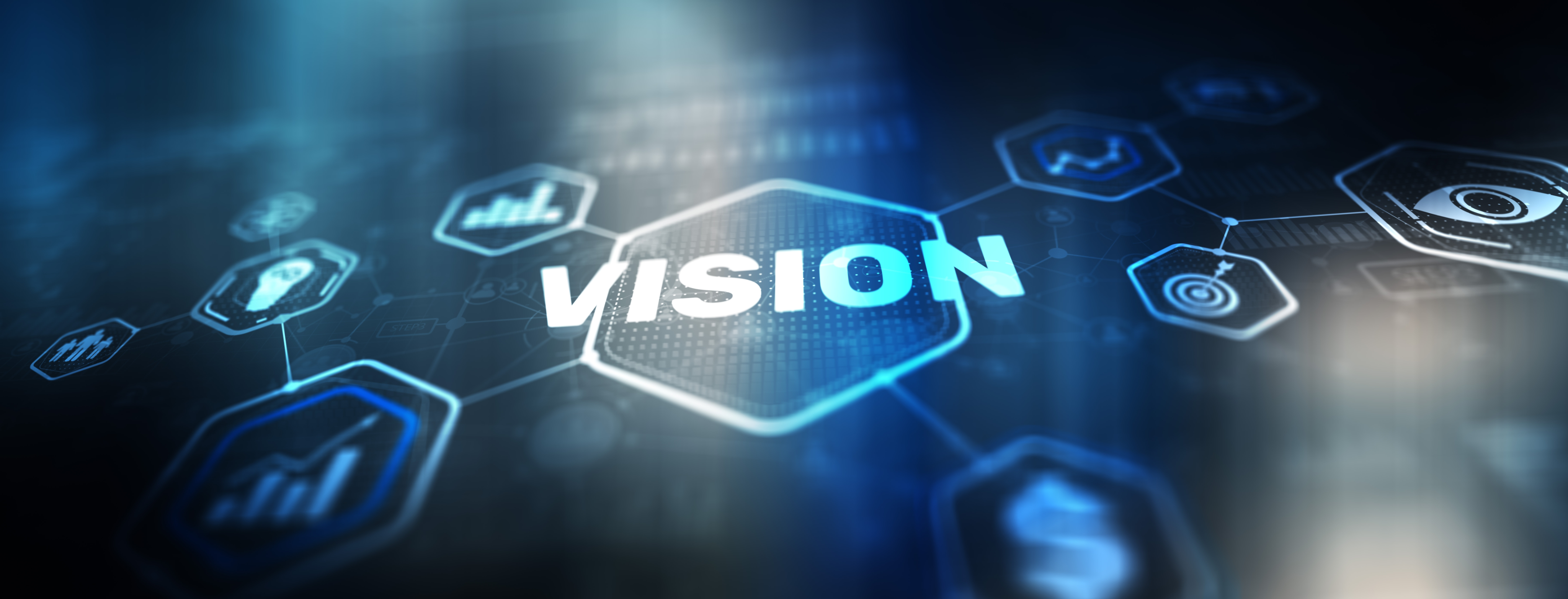Vision